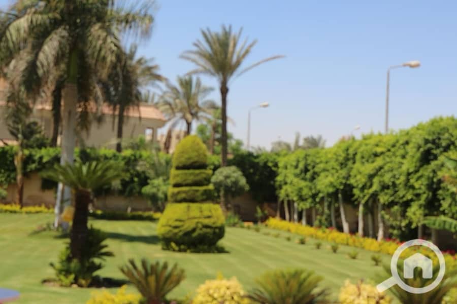 32 ضحايا النخيل (11). jpeg