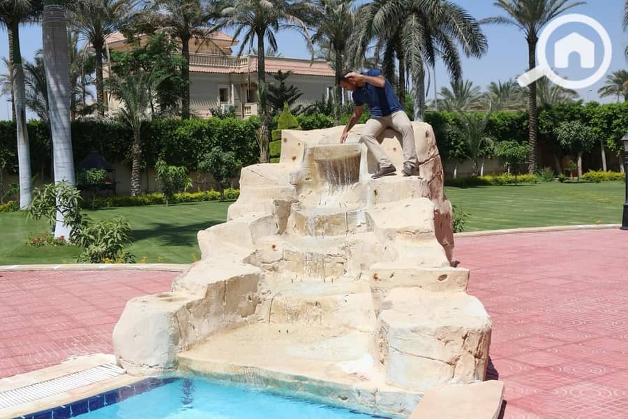 34 ضحايا النخيل (13). jpeg