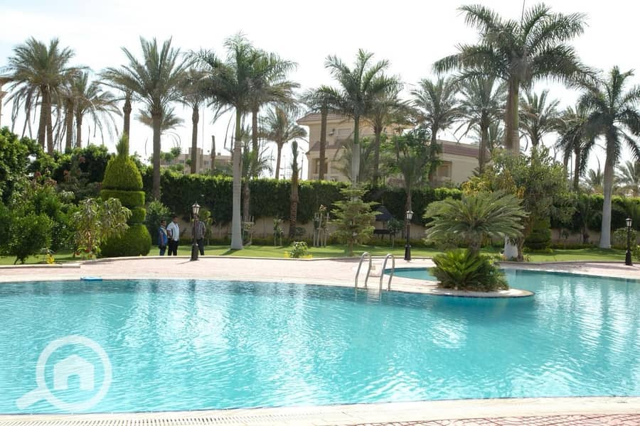 36 ضحايا النخيل (36). jpeg