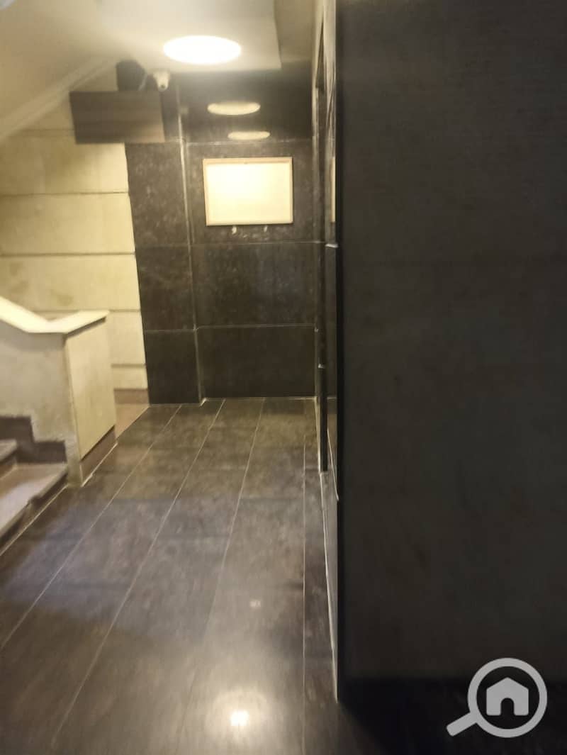 5 15161. jpg
