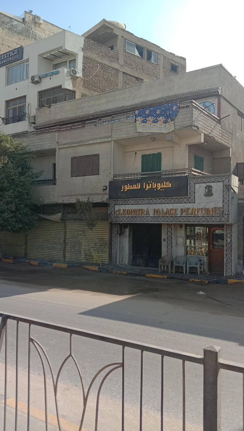 منزل للبيع في الهرم 238م - ابو الهول السياحي مباشرة منزل للبيع في الهرم 238م - ابو الهول السياحي مباشرة