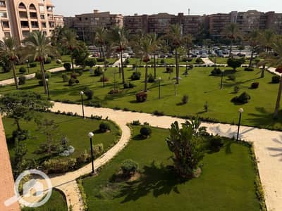 شقة 4 غرف نوم للايجار في القاهرة الجديدة، القاهرة - WhatsApp Image 2026-08-20 at 4.06. 36 PM. jpeg شقة 4 غرف نوم للايجار في القاهرة الجديدة، القاهرة - WhatsApp Image 2026-08-20 at 4.06. 36 PM. jpeg