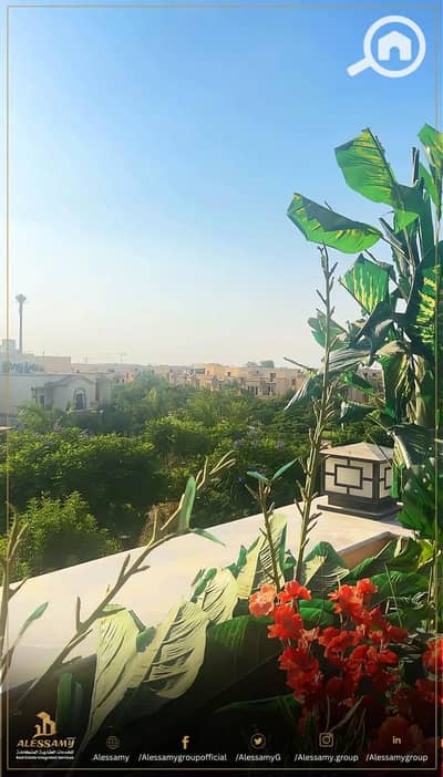 6 Bedroom Villa for Sale in Madinaty, Cairo - WhatsApp Image 2026-08-20 at 5.20. 09 PM. jpeg