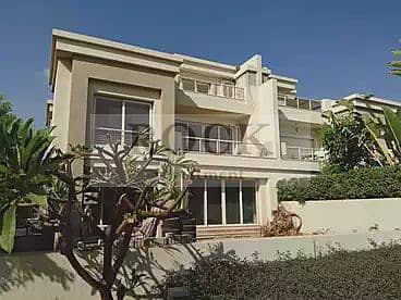 9 IMG_7198. webp