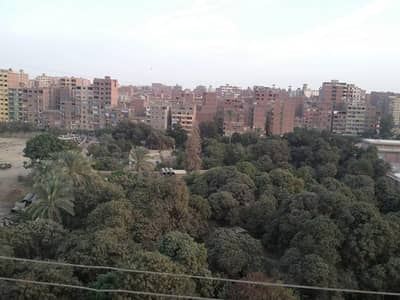 3 Bedroom Apartment for Sale in Ain Shams, Cairo - شقه للبيع في عين شمس - ابورجيله - من المالك 3 Bedroom Apartment for Sale in Ain Shams, Cairo - شقه للبيع في عين شمس - ابورجيله - من المالك