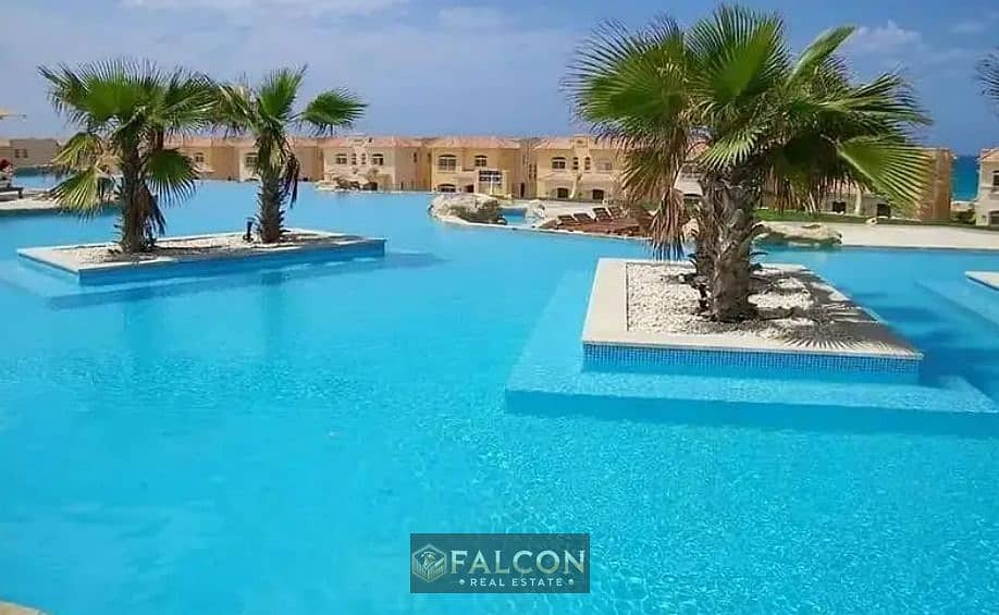 10 5585c542-e846-4b42-a007-10360a9811ee. jpg