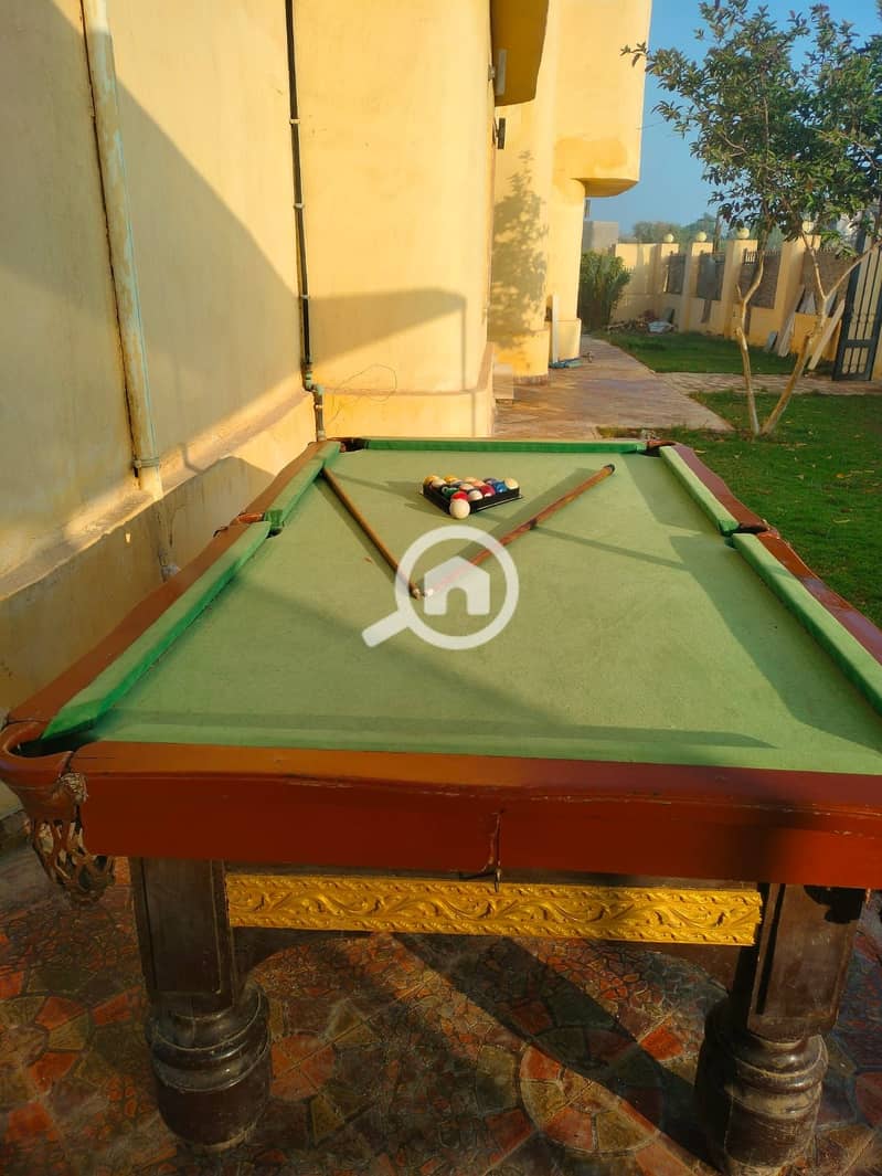 4 146165. jpg