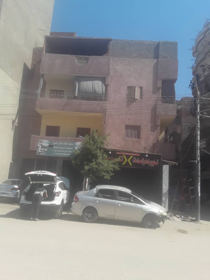 علياء سليمان علياء سليمان