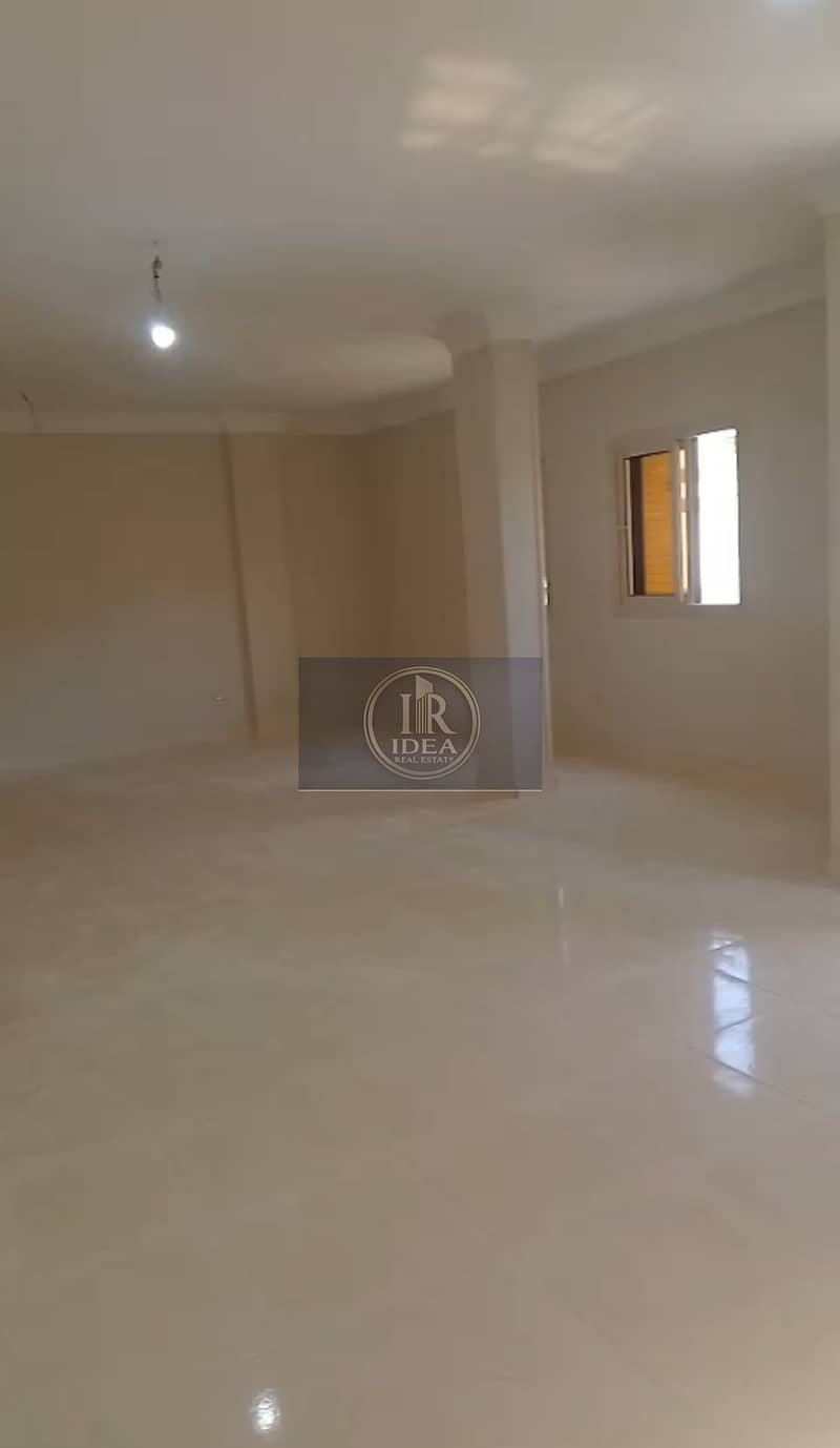 3 1000502931. jpg