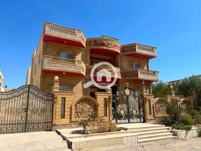 10+ Beds Villa for Sale in Badr City, Cairo - 42b19329-6652-400b-b769-47586b775d4a. jpg 10+ Beds Villa for Sale in Badr City, Cairo - 42b19329-6652-400b-b769-47586b775d4a. jpg
