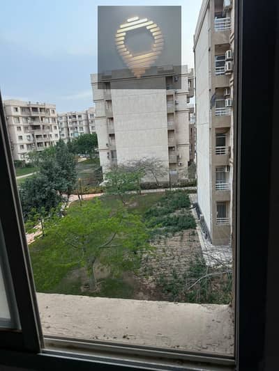 3 Bedroom Flat for Sale in Madinaty, Cairo - WhatsApp Image 2026-08-29 at 2.22. 50 PM. jpeg 3 Bedroom Flat for Sale in Madinaty, Cairo - WhatsApp Image 2026-08-29 at 2.22. 50 PM. jpeg
