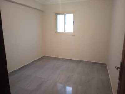 3 Bedroom Apartment for Rent in Miami, Alexandria - شقة ايجار قانون جديد 3 Bedroom Apartment for Rent in Miami, Alexandria - شقة ايجار قانون جديد
