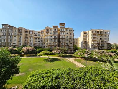 3 Bedroom Flat for Sale in Madinaty, Cairo - WhatsApp Image 2026-08-29 at 2.37. 07 PM. jpeg