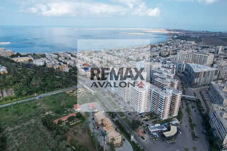 3 Bedroom Apartment for Sale in Montazah, Alexandria - 1. jpg 3 Bedroom Apartment for Sale in Montazah, Alexandria - 1. jpg