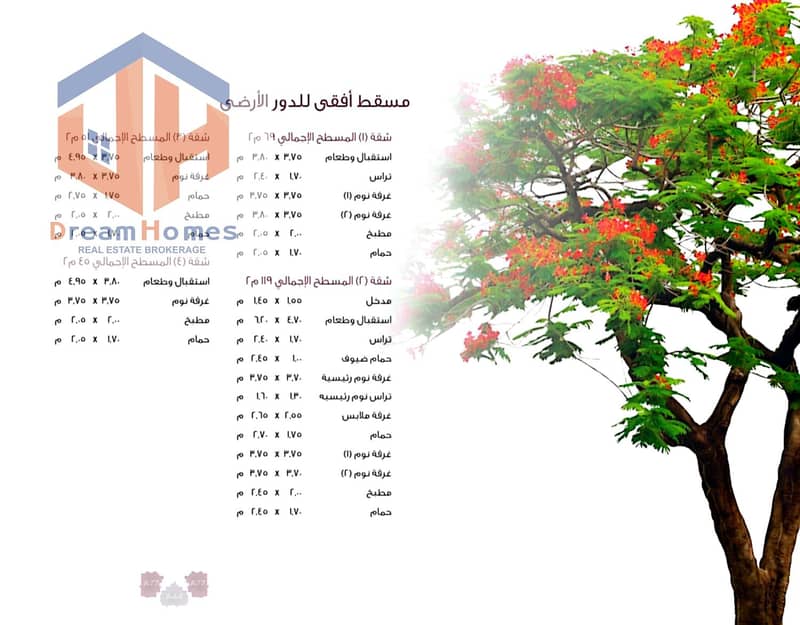 2 01e128ef-3182-4cc4-a01c-36c3c8c9d32e. jpg