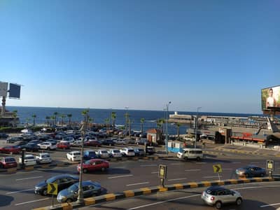 3 Bedroom Flat for Rent in Glim, Alexandria - WhatsApp Image 2026-08-29 at 1.54. 17 PM. jpeg 3 Bedroom Flat for Rent in Glim, Alexandria - WhatsApp Image 2026-08-29 at 1.54. 17 PM. jpeg
