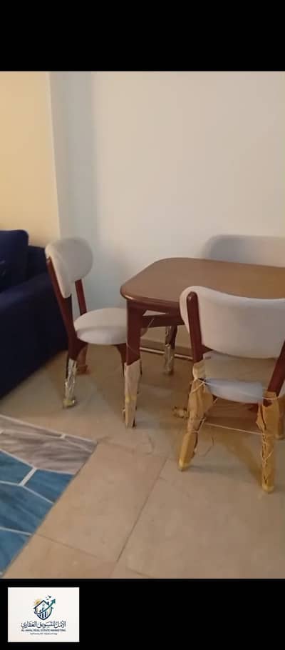 2 Bedroom Apartment for Rent in Maadi, Cairo - 1000263803. jpg 2 Bedroom Apartment for Rent in Maadi, Cairo - 1000263803. jpg