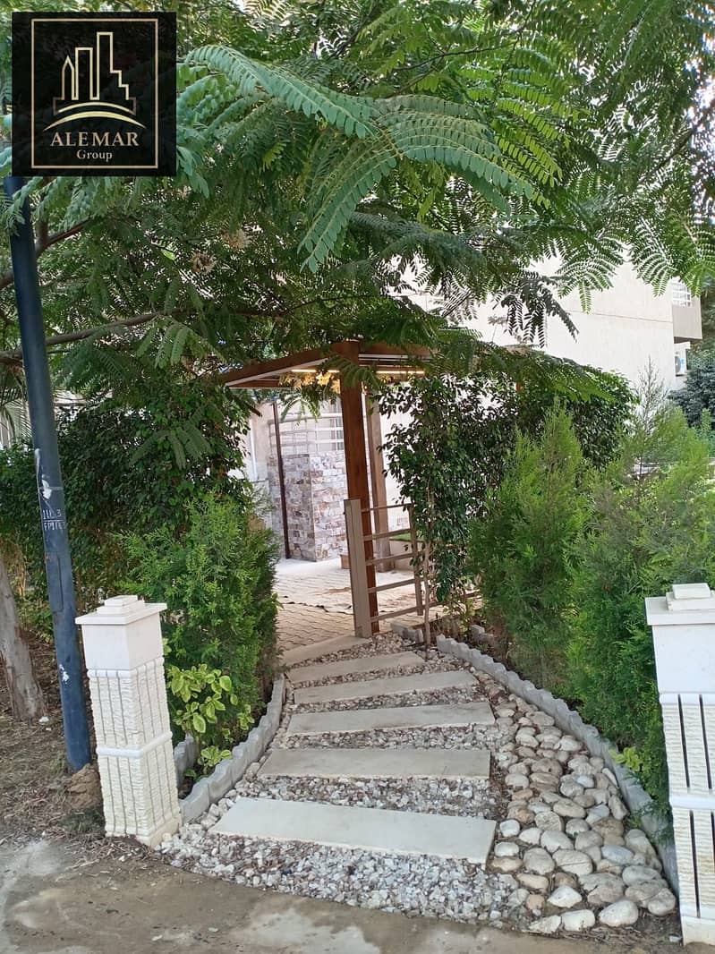 8 96739. jpg