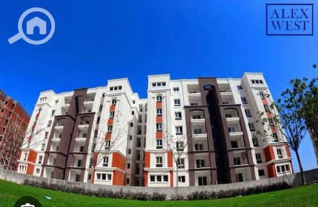 3 Bedroom Flat for Sale in Agami, Alexandria - IMG-20250807-WA0090. jpg