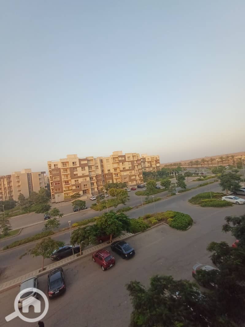 3 1000287520. jpg