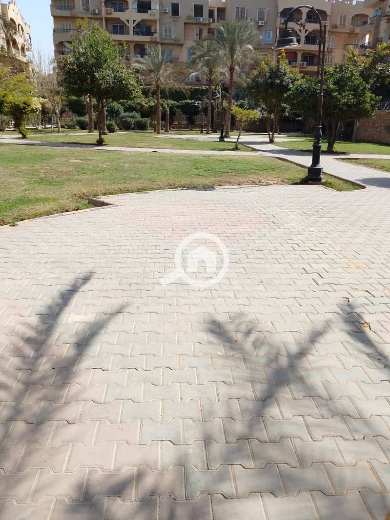 14 1000878646. jpg
