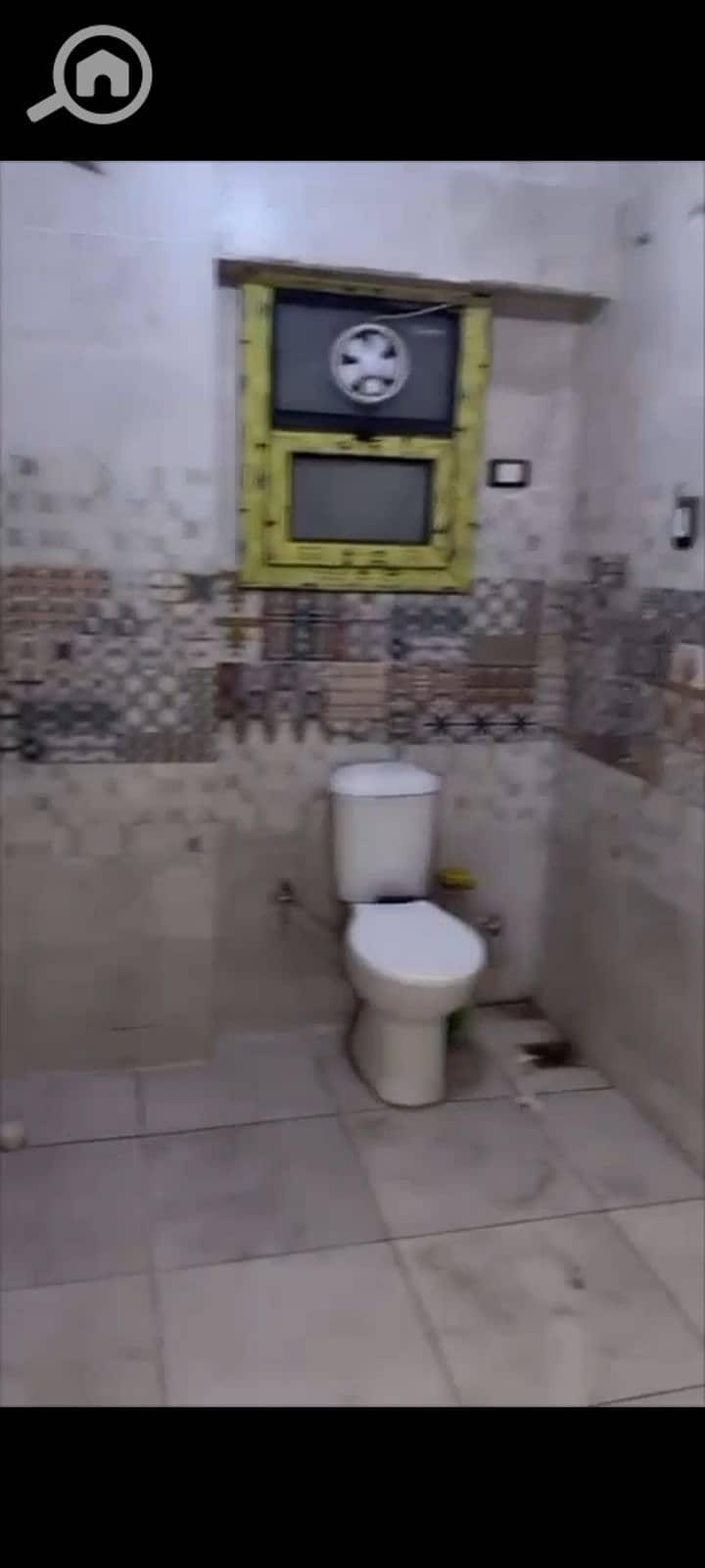 8 1000085071. jpg