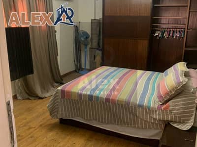 3 Bedroom Apartment for Rent in Fleming, Alexandria - WhatsApp Image 2026-08-29 at 4.02. 41 PM (1). jpeg 3 Bedroom Apartment for Rent in Fleming, Alexandria - WhatsApp Image 2026-08-29 at 4.02. 41 PM (1). jpeg