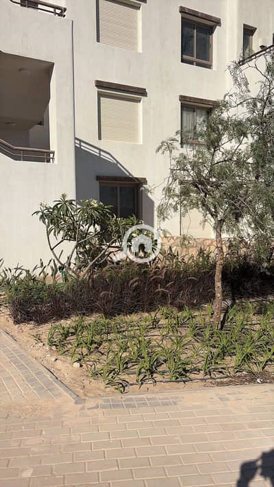 2 Bedroom Flat for Rent in 6th of October, Giza - 1160adf8-a9e6-49dc-a658-5f39aec32e51. jpg