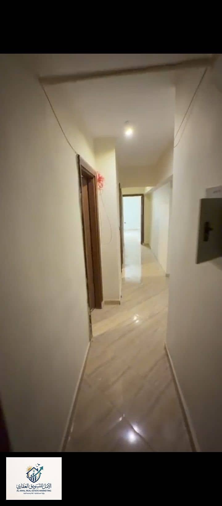 8 1000264090. jpg