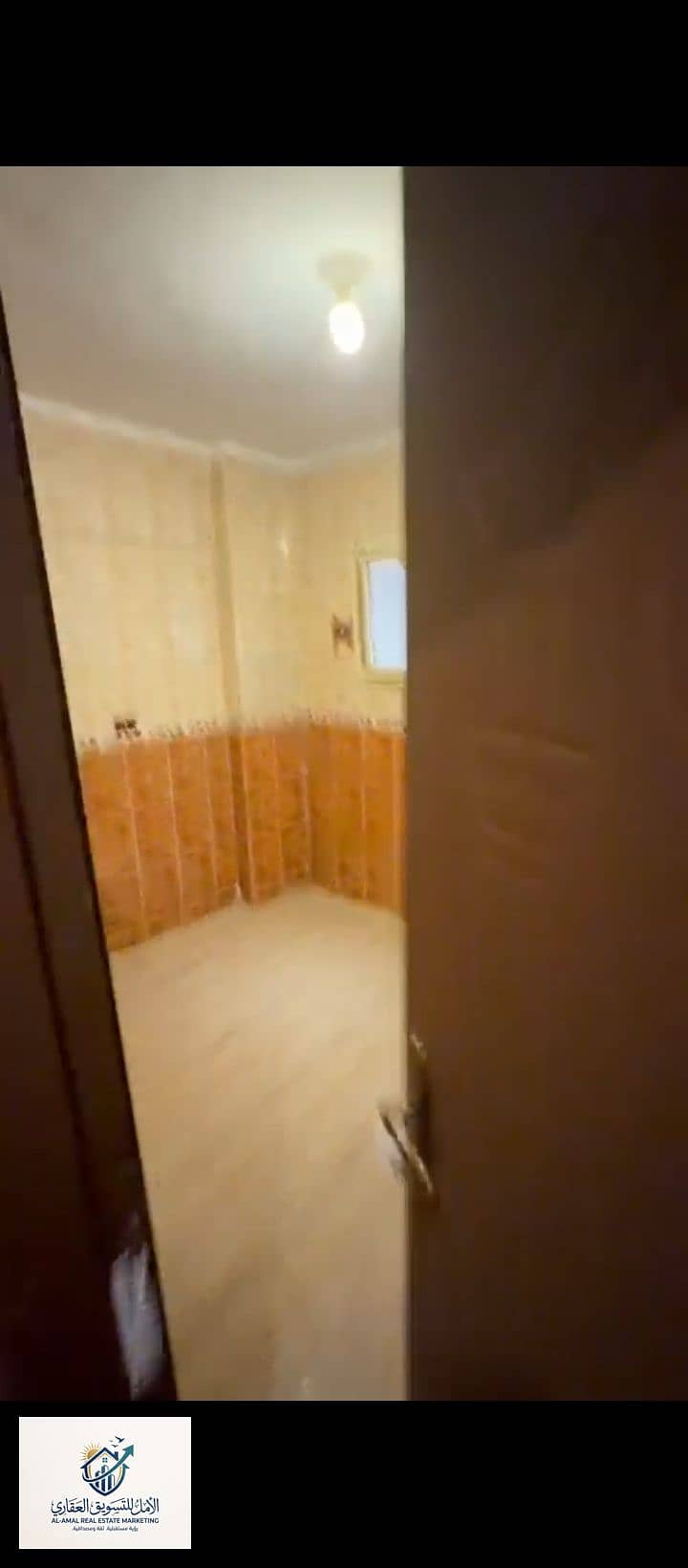 9 1000264086. jpg