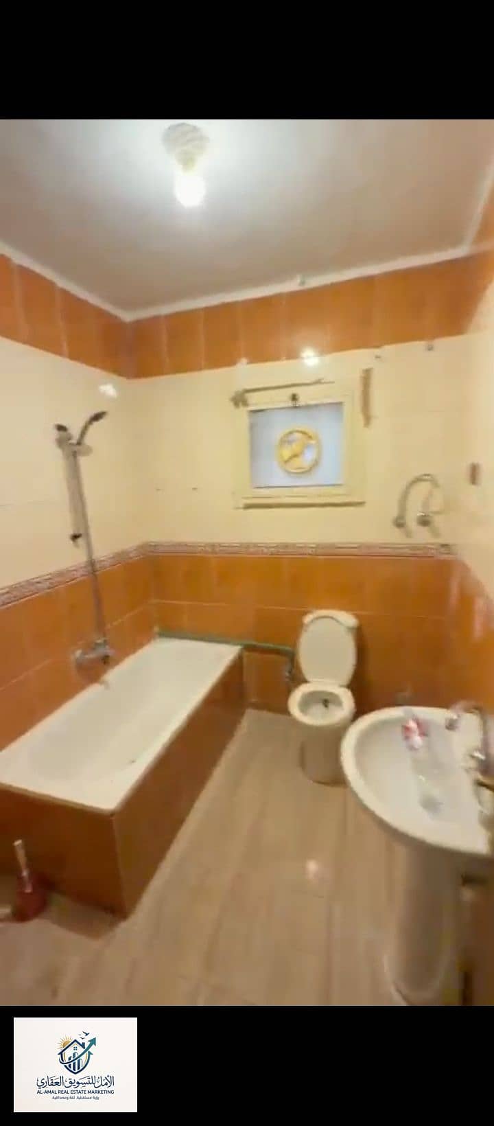 10 1000264084. jpg