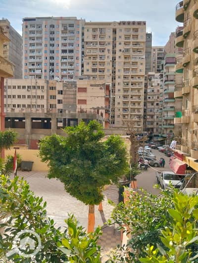 شقة 3 غرف نوم للبيع في فلمنج، الإسكندرية - 27a0387d-f46c-4feb-a5a9-91b1e1f54e32. jpg