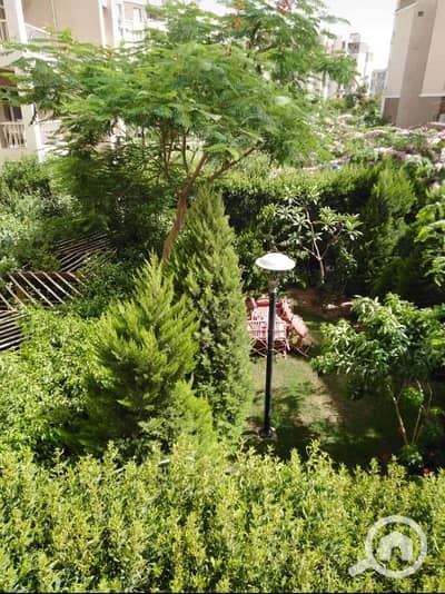 2 Bedroom Apartment for Rent in Madinaty, Cairo - WhatsApp Image 2026-08-29 at 7.29. 43 PM. jpeg 2 Bedroom Apartment for Rent in Madinaty, Cairo - WhatsApp Image 2026-08-29 at 7.29. 43 PM. jpeg