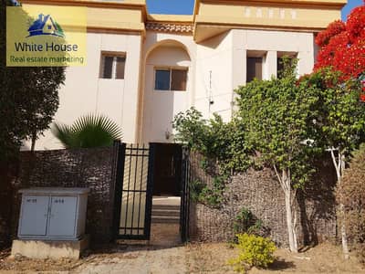 5 Bedroom Apartment for Rent in New Cairo, Cairo - WhatsApp Image 2026-08-29 at 1.56. 48 PM (2). jpeg 5 Bedroom Apartment for Rent in New Cairo, Cairo - WhatsApp Image 2026-08-29 at 1.56. 48 PM (2). jpeg