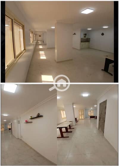 Office for Rent in Nasr City, Cairo - 1000516145. jpg Office for Rent in Nasr City, Cairo - 1000516145. jpg