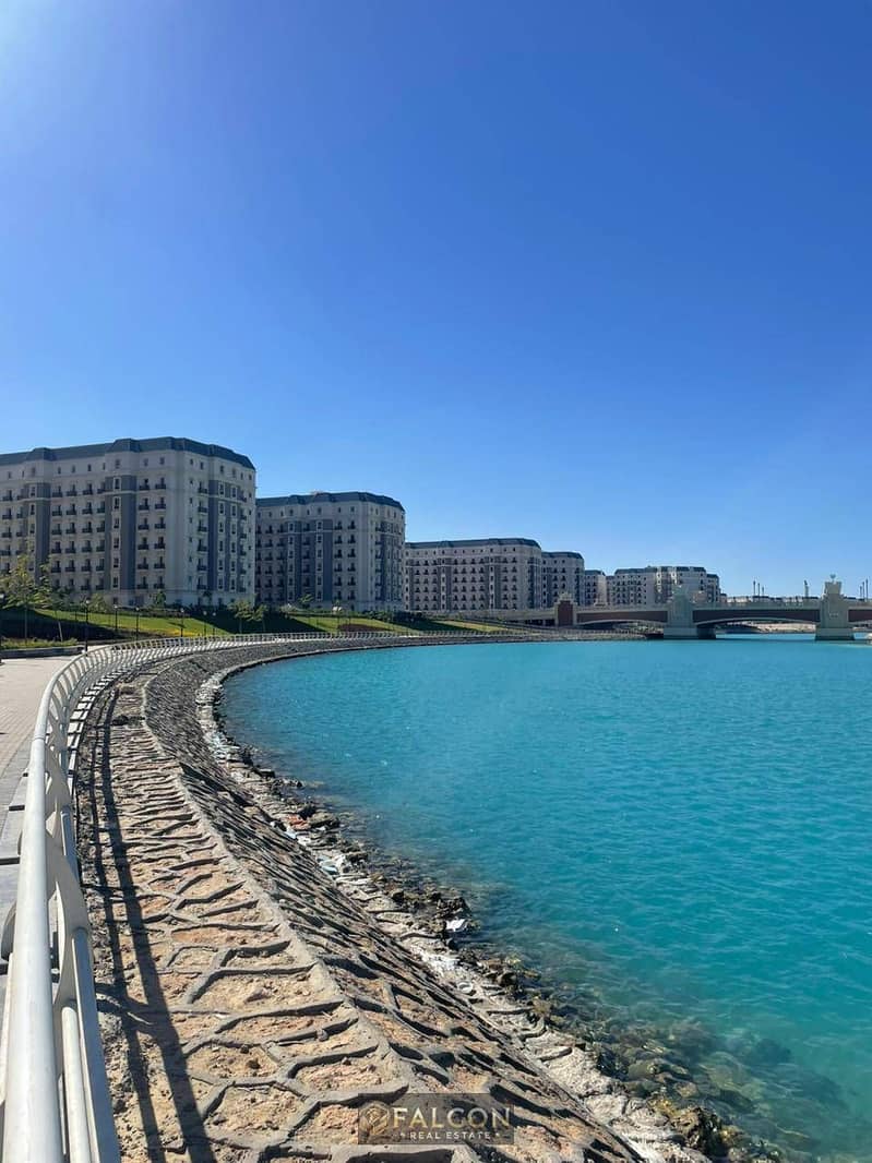 11 601852409_122203112426502256_6427251042409814132_n. jpg