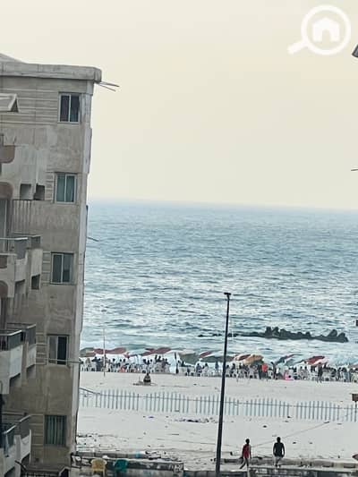 شقة 3 غرف نوم للبيع في النخيل، الإسكندرية - IMG_4550. jpg شقة 3 غرف نوم للبيع في النخيل، الإسكندرية - IMG_4550. jpg