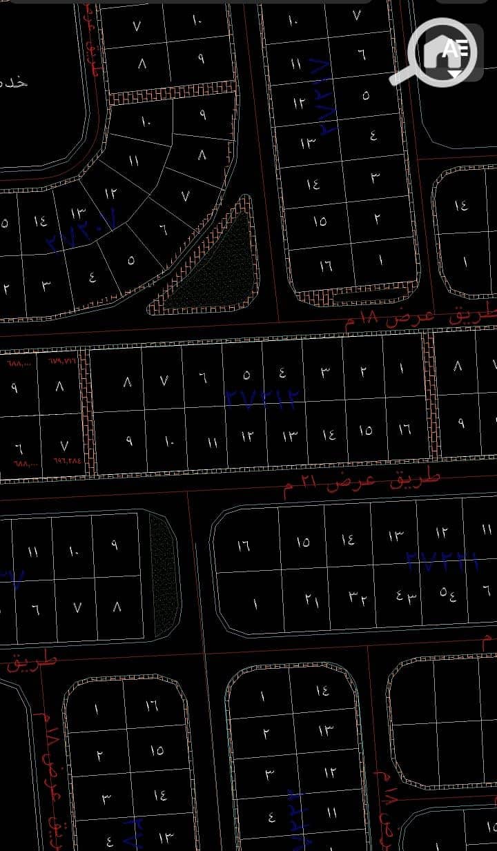 8 نتن. jpeg