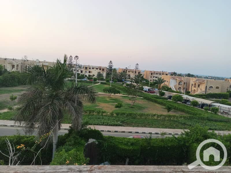7 165980. jpg