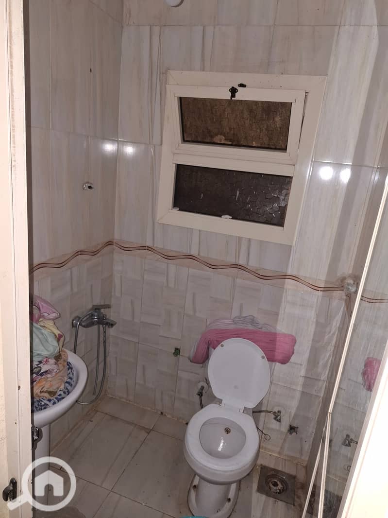 5 28917. jpg