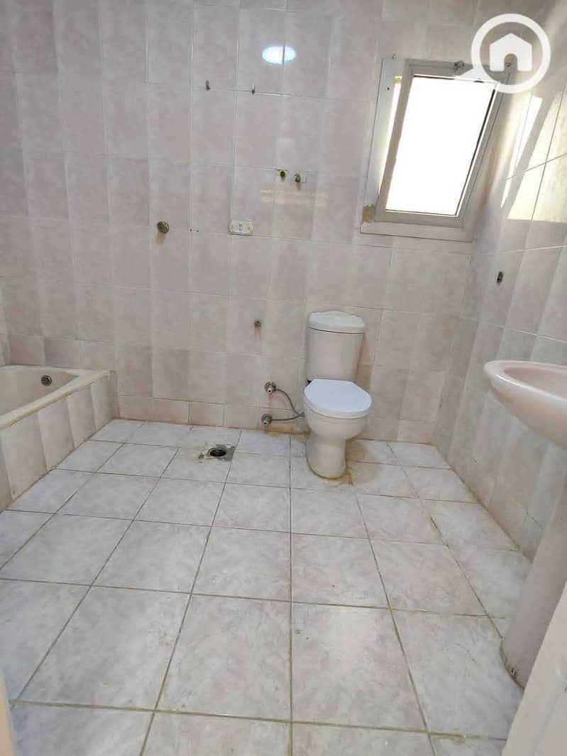 5 1001063341. jpg