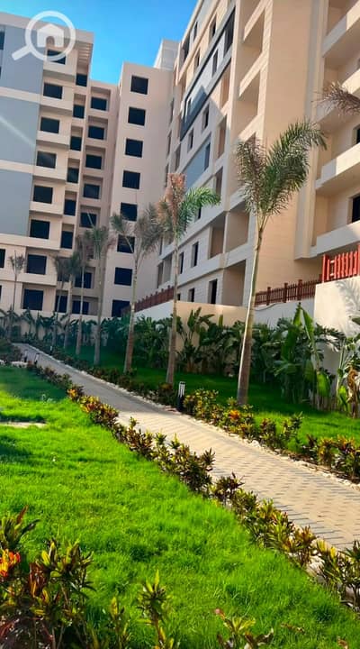 فلیٹ 3 غرف نوم للبيع في العاصمة الإدارية الجديدة، القاهرة - bc3ca47e-bfcd-4ddc-89f6-14fb987e13d3. jpg فلیٹ 3 غرف نوم للبيع في العاصمة الإدارية الجديدة، القاهرة - bc3ca47e-bfcd-4ddc-89f6-14fb987e13d3. jpg