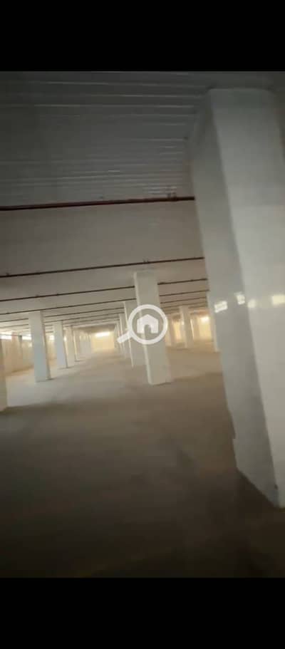 Warehouse for Rent in 10th of Ramadan, Sharqia - WhatsApp Image 2026-08-30 at 12.26. 25 PM (2). jpeg