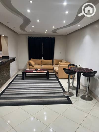 2 Bedroom Flat for Rent in Mohandessin, Giza - 1000489253. jpg