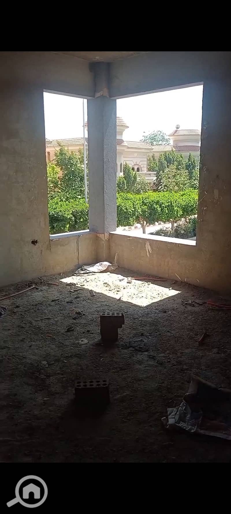 3 1000151612. jpg