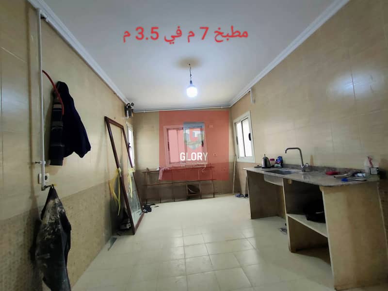 4 248299. jpg