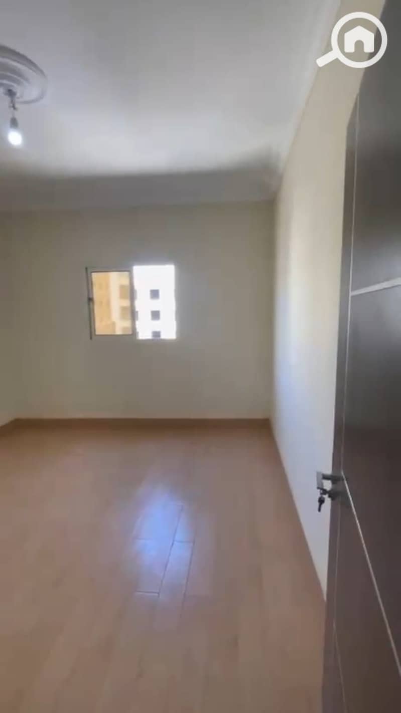 3 207073. jpg