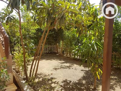 2 Bedroom Apartment for Sale in New Cairo, Cairo - WhatsApp Image 2026-08-30 at 1.01. 29 PM (2). jpeg 2 Bedroom Apartment for Sale in New Cairo, Cairo - WhatsApp Image 2026-08-30 at 1.01. 29 PM (2). jpeg