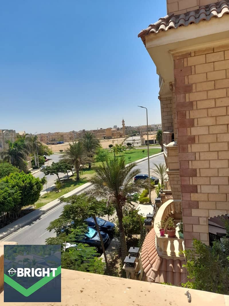 2 1000268980. jpg