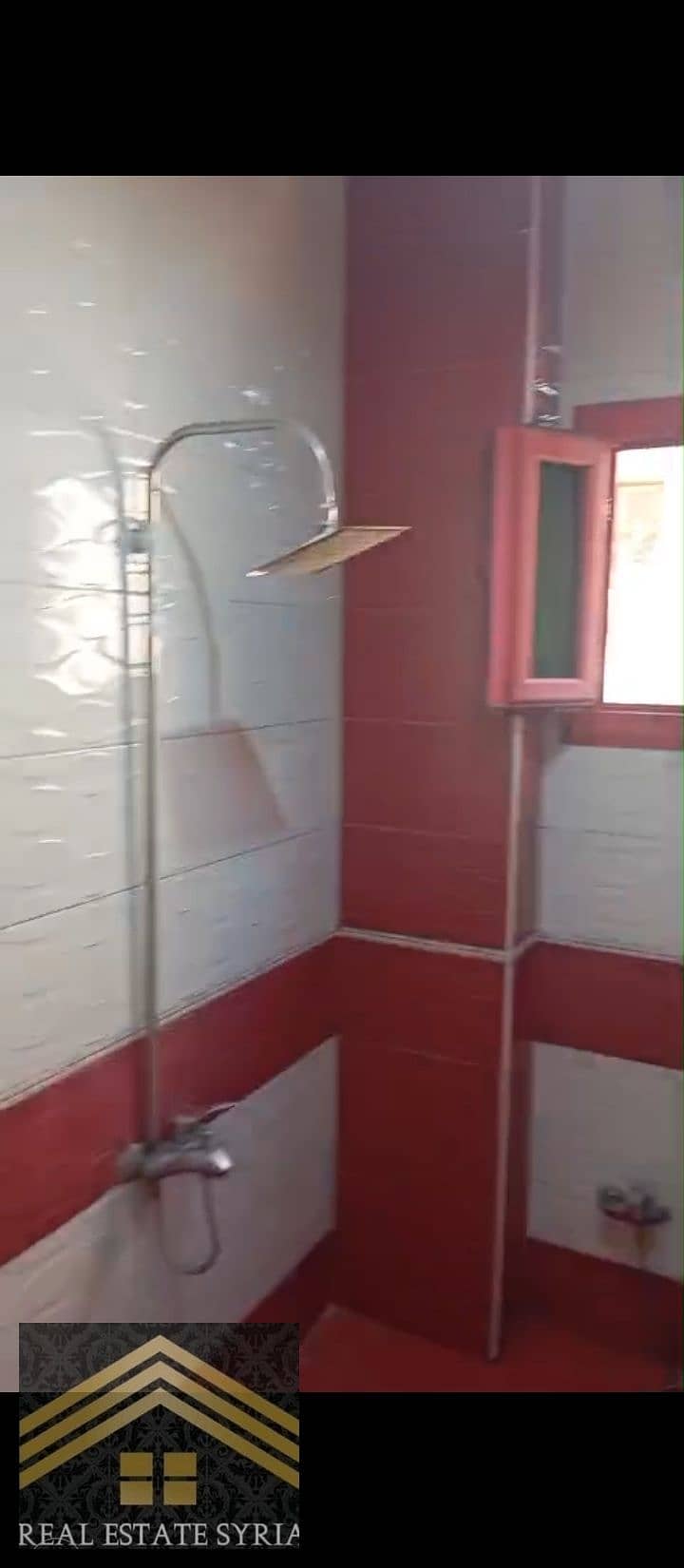10 1000546869. jpg